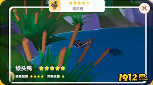 心动小镇鸟类资料卡如何获得 心动小镇鸟类资料卡获取攻略 心动小镇鸟类资料卡如何获得 心动小镇鸟类资料卡获取攻略