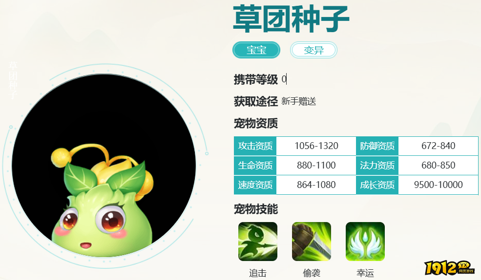 逍遥情缘草团种子怎么样 逍遥情缘草团种子宠物资质介绍