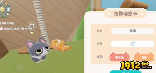 心动小镇猫咪种类是有哪些 心动小镇猫咪种类一览 心动小镇猫咪种类是有哪些 心动小镇猫咪种类一览